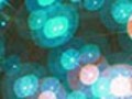 素敵なイブの夜を、こんな被害で台無しにしないで　ドロボウのサンタクロース