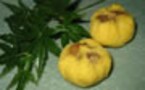 ちょっと上品な和風のヘルシーおやつ　サツマ芋の茶巾絞り