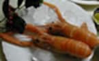 手軽にできる豪華な一品♪　スカンピのグリル