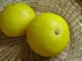 土佐文旦の、ママレードと砂糖菓子