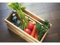 野菜の安い時期を知って美味しく食費節約！ 食材旬カレンダー