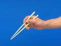 あなたのマイ箸が地球を救う