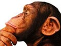 頼れる人は「何ができるか考えてみるよ」