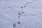シンプルを見つける、いちばんいいやり方