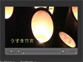 Flash Videoを公開する【ビデオの編集】