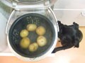 炊飯器で留守宅調理