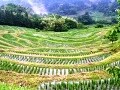鴨川房総エリアで国内・海外デュアル移住