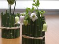 普通のグラスを初夏の装いに～トクサの花器