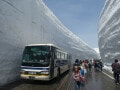 春限定の純白の世界へ！ 雪の壁を見上げながら歩く、立山黒部アルペンルート「立山・雪の大谷」【富山】