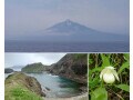 稚内からフェリーで2時間弱。さいはての花の島「利尻島」と「礼文島」には何がある？【観光スポット】