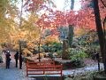 源氏物語千年紀を祝う石山寺の紅葉【滋賀】