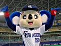 超不思議ブレイク！ドアラ独占インタビュー
