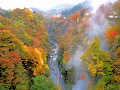 いよいよ秋本番！紅葉の温泉