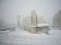 元旦限定乗り放題の正月パスで旅初め