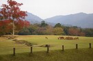 10月～11月の奈良、イベントとお勧めツアー