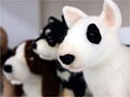 “世界でただ一つ”フリースドッグの作り方