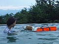 天然温泉利用：犬と楽しむフィットネススパ
