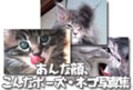 『ネコ写真大集合』★ファイル1～60