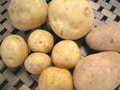 じゃがいもの栄養・選び方・保存方法