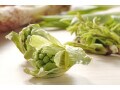 ふきのとうのアク抜き方法！簡単な下ごしらえ・食べ方
