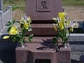 墓石の色や種類の選び方
