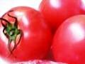 きゅうり,トマトもきのこも！生で冷凍保存