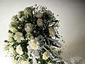これからブームとなる?気になる神前結婚式!