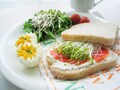 一人暮らしにぴったり！　栄養豊富で短期間で簡単！　100円スプラウトでプチ家庭菜園