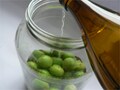 こだわり梅酒で、時間の流れと季節を味わう