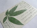 母の日に感謝を手作り押し花ハガキで…