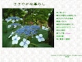 素敵なひとり上手『ささやかな暮らし』