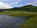 九州の家族旅行・子連れ旅行