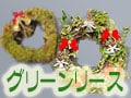 育てて楽しむグリーンリース