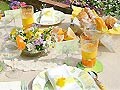 Vol.8 ワクワクドキドキのオープンガーデンは大盛況!