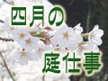 四月の庭仕事