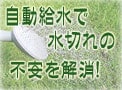 自動給水で水切れの不安を解消！