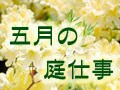 五月の庭仕事