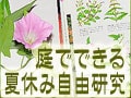 大人のほうがハマるかも？！　庭でできる、夏休み自由研究