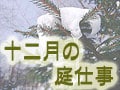 十二月の庭仕事