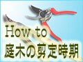 花木の剪定時期……代表的な花木16種の剪定