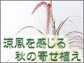 涼風を感じる秋の寄せ植え