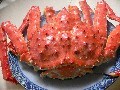 生たらば蟹の茹で方と冷凍保存