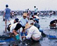 春の定番ファミリーレジャーのシーズン到来　「潮干狩り」はお泊まりで！