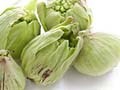 ミネラルたっぷりの自然食、山菜を食べに行く！　「春山菜の宿」に泊まる