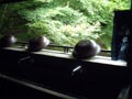 心癒される夏の湯宿