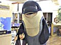 鴨川シーワールドホテル〔千葉〕　子供が主役！水族館のホテル