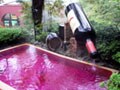 家族みんなで！水着で遊べる温泉テーマパーク