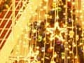 子連れOK！船上からメリークリスマス♪