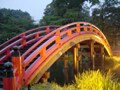 期間限定、見に行こう！　美しく光る称名寺
