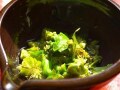 フキノトウで作る料理のレシピ！ごま油がもたらす香ばしさ